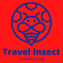 Travel insect